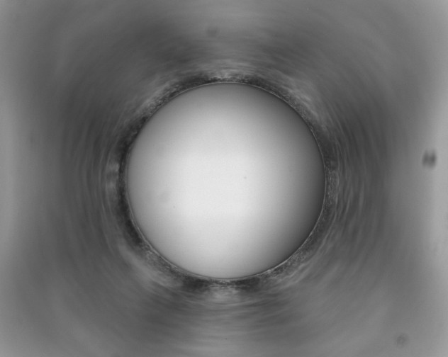 X0000091170263200708091030