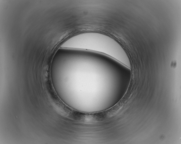 X0000091170264200708091030