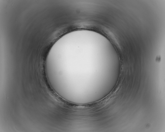 X0000091170265200708091030
