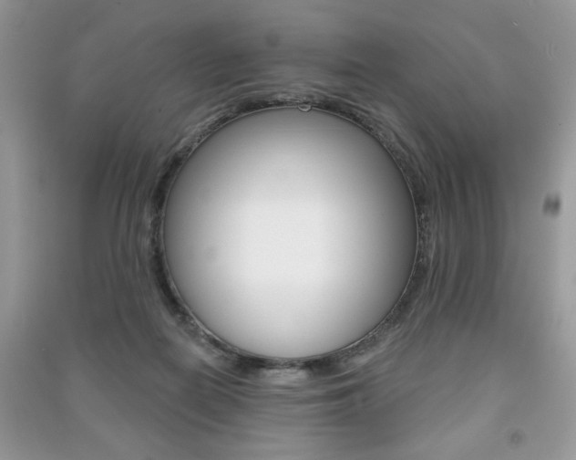 X0000091170266200708091030