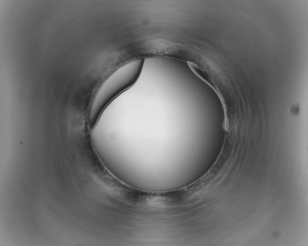 X0000091170268200708091030