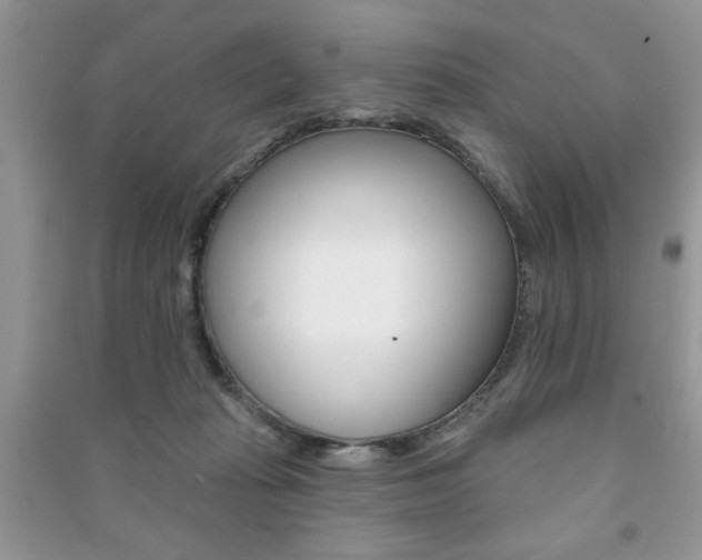 X0000091170269200708091031