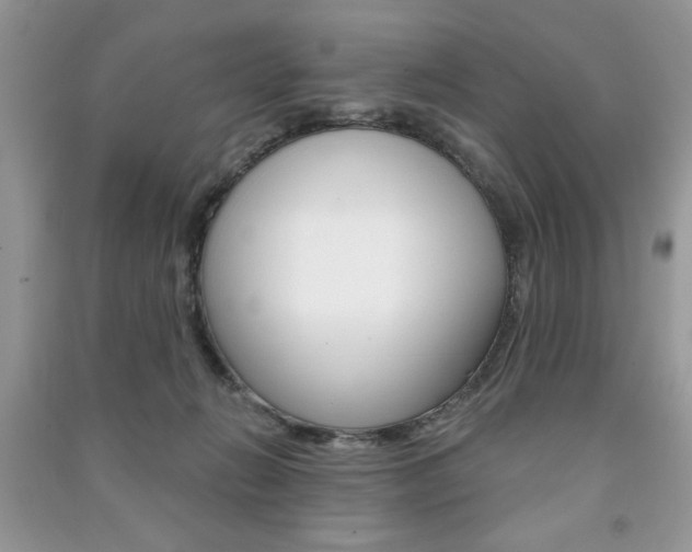 X0000091170270200708091031