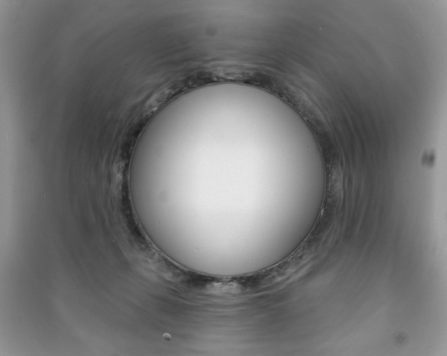 X0000091170271200708091031