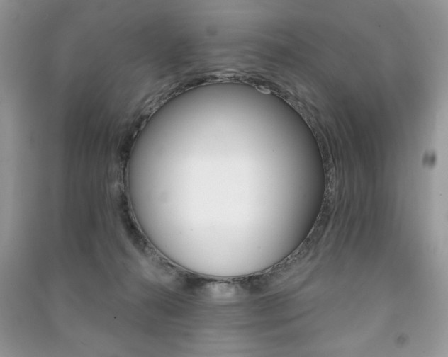 X0000091170272200708091031