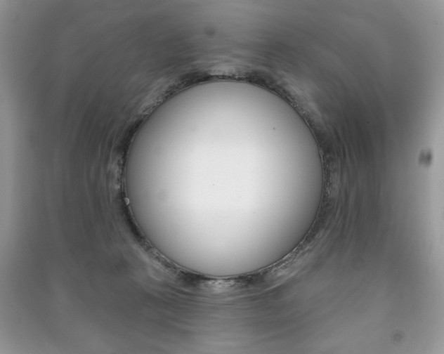 X0000091170273200708091031