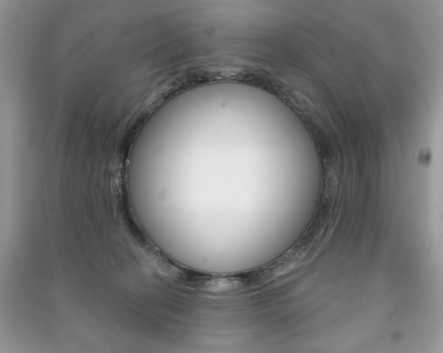 X0000091170274200708091031