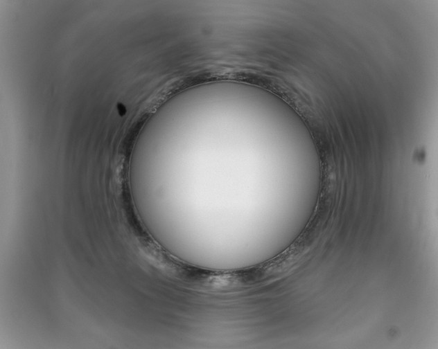 X0000091170275200708091031