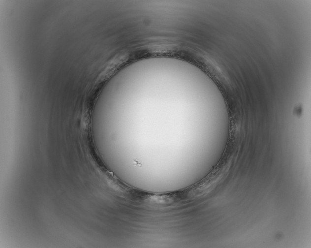 X0000091170277200708091031