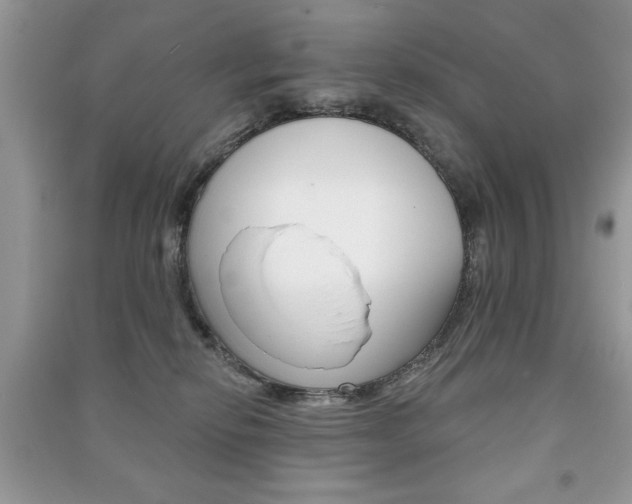 X0000091170278200708091031