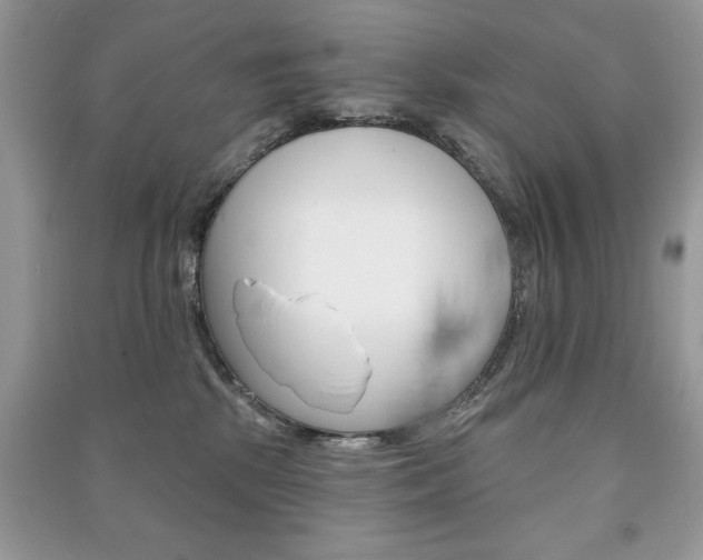 X0000091170281200708091031