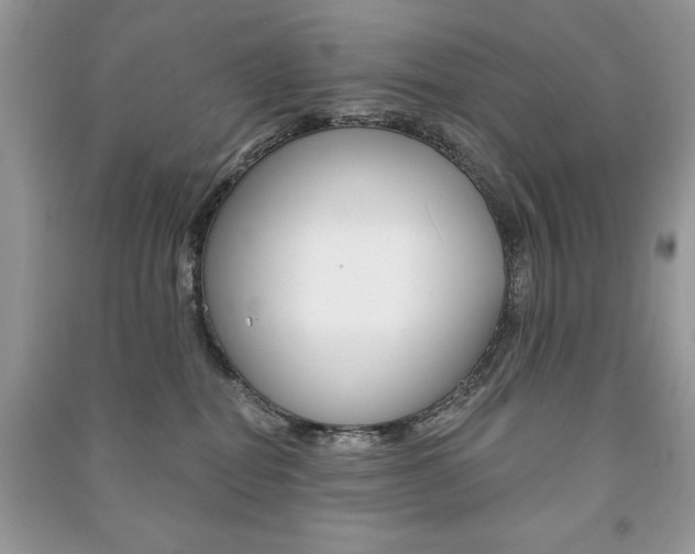 X0000091170282200708091031