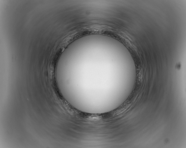 X0000091170283200708091031