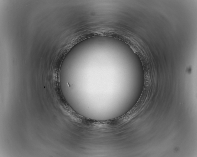 X0000091170284200708091031