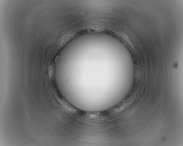 X0000091170285200708091031