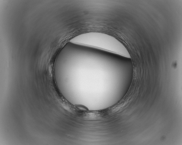 X0000091170286200708091031