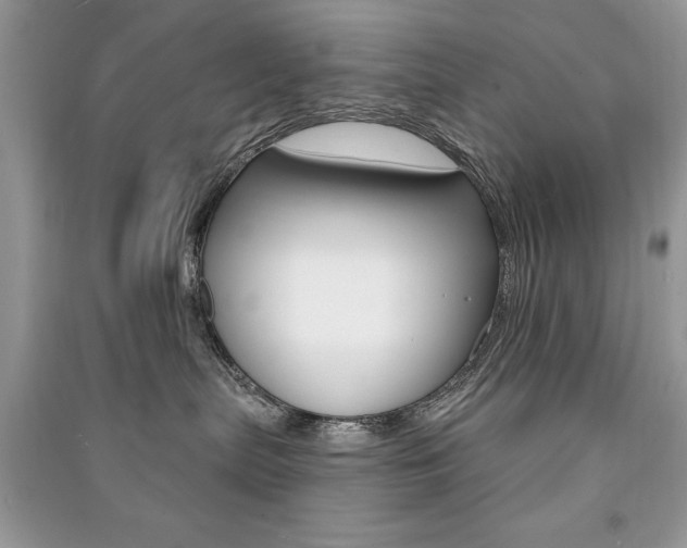 X0000091170287200708091031