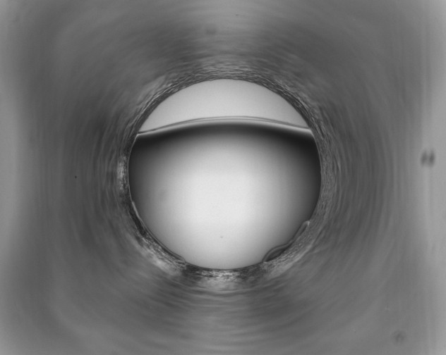 X0000091170288200708091031