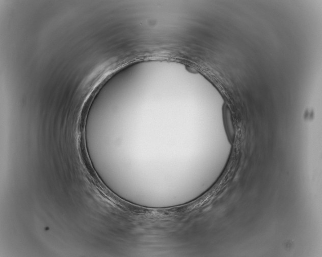 X0000091170290200708091030