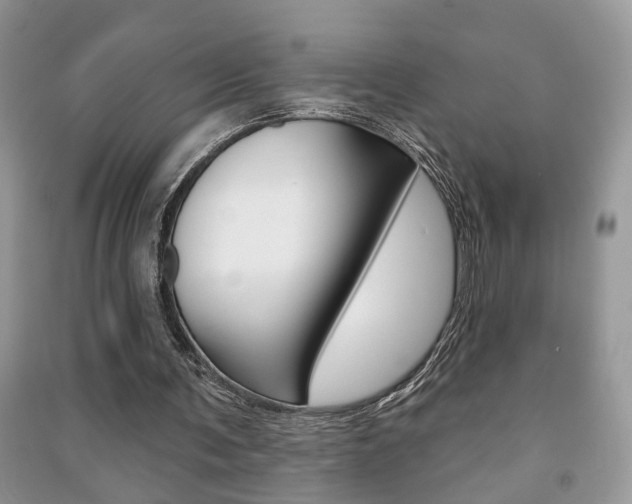 X0000091170291200708091030