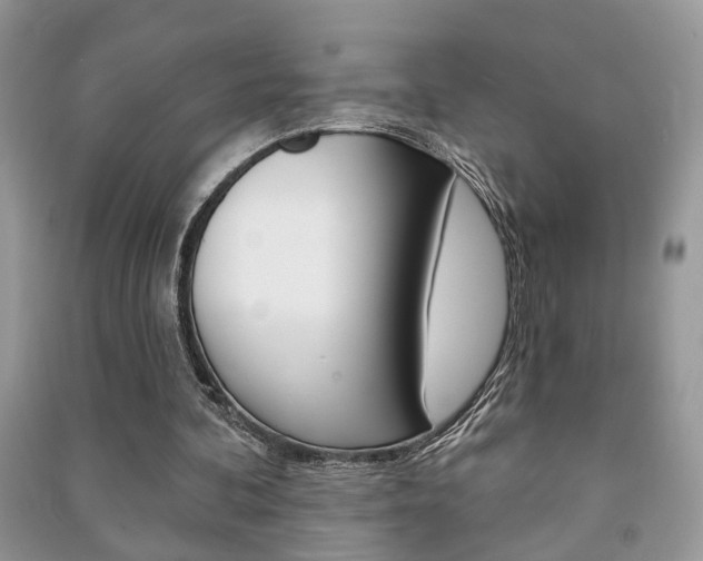 X0000091170292200708091030