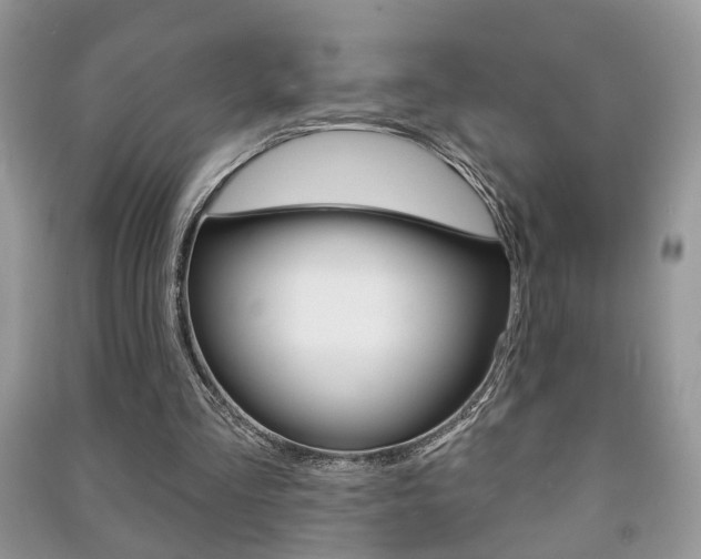 X0000091170293200708091030