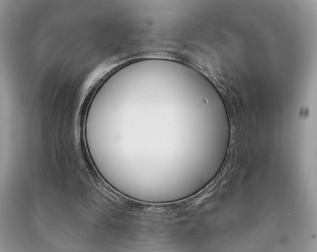 X0000091170294200708091030