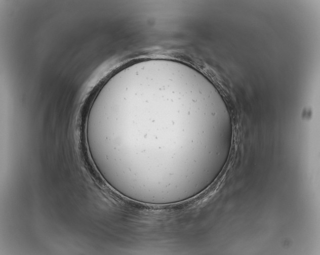 X0000091170295200708091030