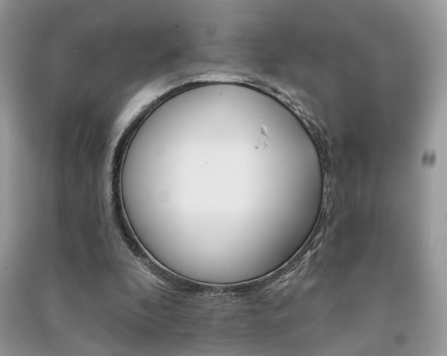 X0000091170296200708091030