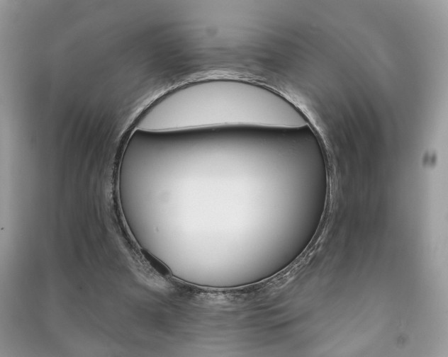 X0000091170297200708091030