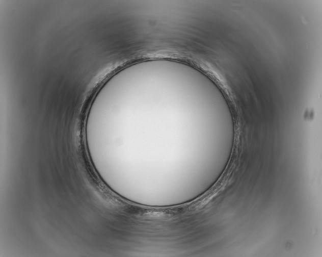 X0000091170298200708091030