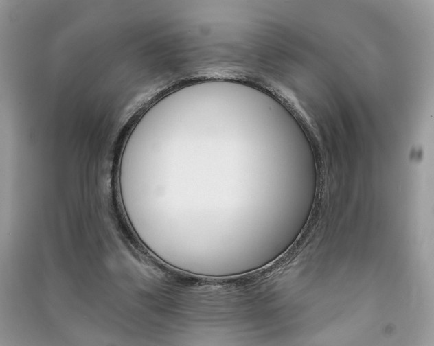 X0000091170299200708091030
