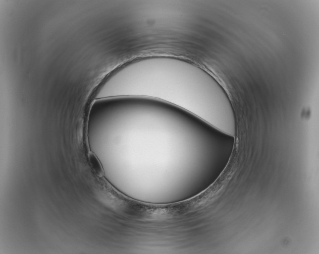 X0000091170301200708091030