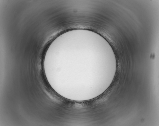 X0000091170302200708091030