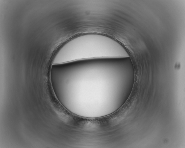 X0000091170303200708091030