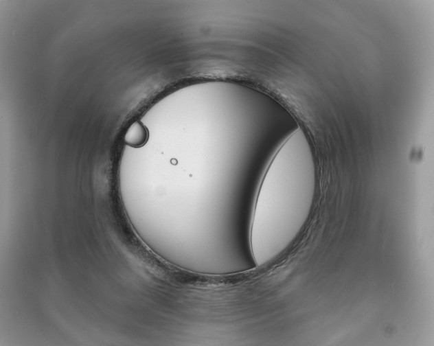X0000091170304200708091030