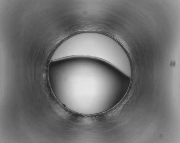 X0000091170305200708091030