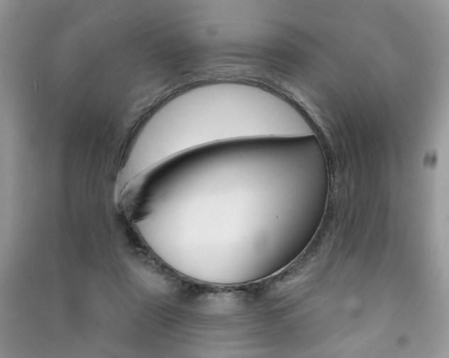 X0000091170307200708091030