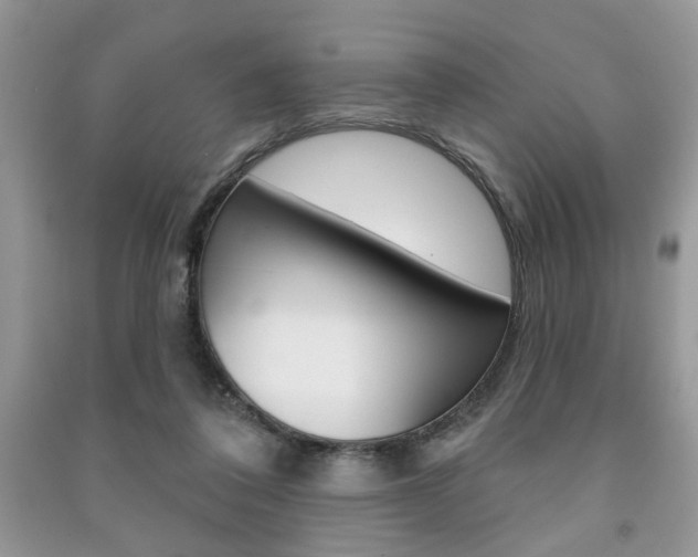 X0000091170308200708091030