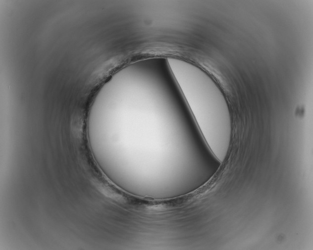 X0000091170309200708091030