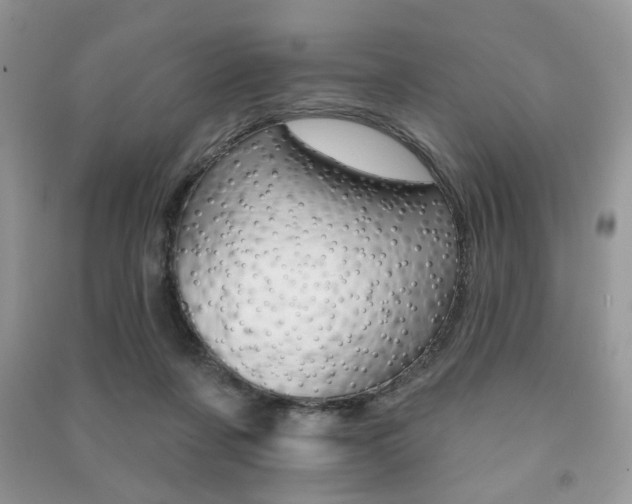 X0000091170311200708091030