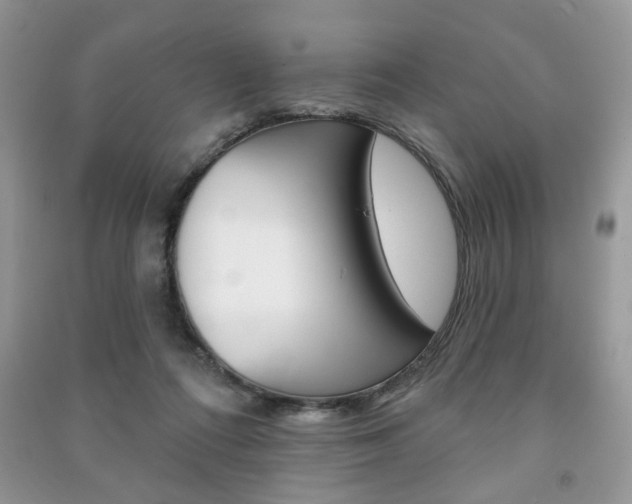 X0000091170312200708091030
