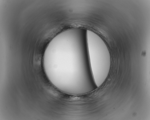 X0000091170315200708091030