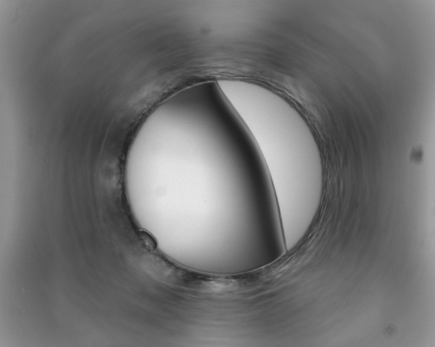 X0000091170317200708091030