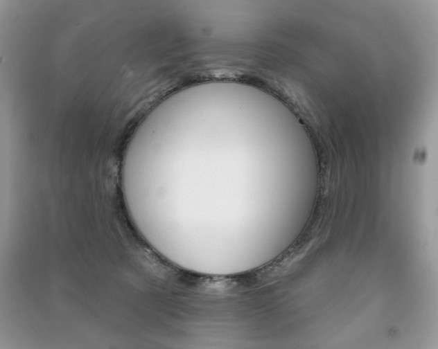 X0000091170321200708091030