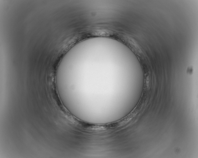 X0000091170322200708091030