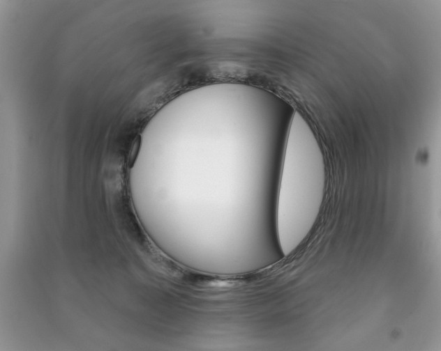 X0000091170323200708091030