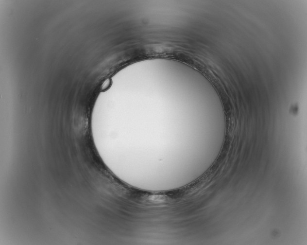 X0000091170324200708091030