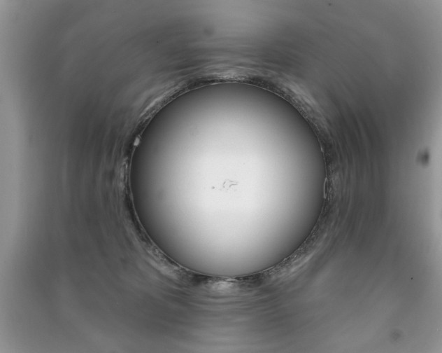 X0000091170325200708091030