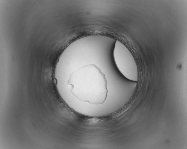 X0000091170326200708091030